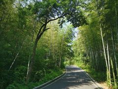-冶父山国家森林公园
