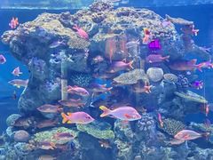 -正佳极地海洋世界