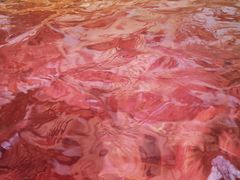 -春晖园度假酒店温泉