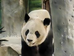 -灵玲国际马戏城