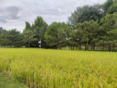 -北坞公园