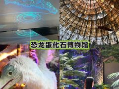 -中国西峡恐龙遗迹园