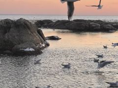 -老虎石海上公园