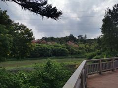 -广州花都皇冠假日酒店