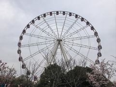 -顾村公园