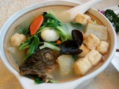 砂锅鱼头-五芳齋(云南南路店)