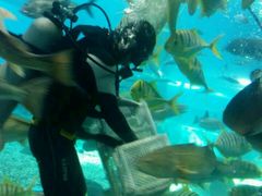 -北戴河圣蓝海洋公园