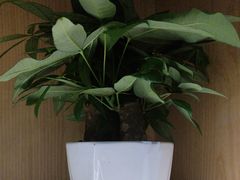-荷花亭·湖北融合菜(十堰武商MALL店)
