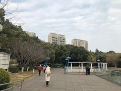 -中央公园(苏州工业园区)