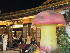 -菌自由丨野生菌火锅特色庭院餐厅(丽江古城店)