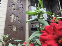 -田园东方蜜桃村的田野营地