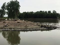 -盐城丹顶鹤湿地生态旅游区
