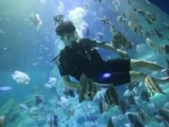 -华夏文旅西安度假区