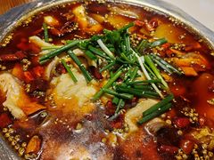 -乡土特色.冷锅鱼.牦牛肉汤锅