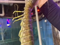 -辉记炭烧海鲜大排档·老字号(福田店)