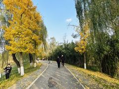 -白鹭湾湿地公园