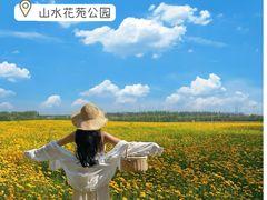 -西青郊野公园