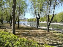 -长春公园(普阳街道)