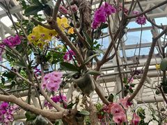 -石家庄市植物园