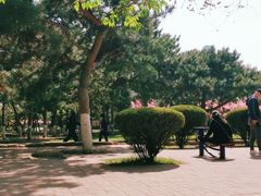 -沈阳中山公园