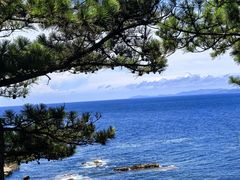 -南紀白浜 浜千鳥の湯 海舟
