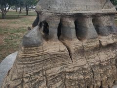 -中国西峡恐龙遗迹园