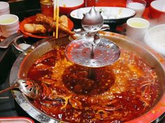 -蜀大侠火锅.川剧变脸(龙泉世茂店)