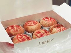鲜肉月饼-泰康食品(南京东路店)