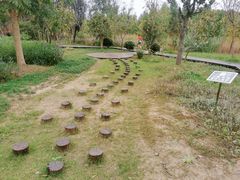 -昆山城市生态森林公园