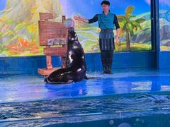 -欢乐海岸海洋奇梦馆