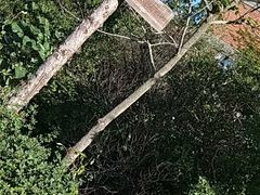 -大连北马山庄
