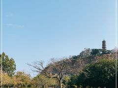 -南沙蒲洲花园