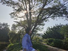 -南沙蒲洲花园