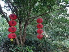 -杭州西湖风景名胜区-三生石