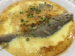 非一般蒸黄花鱼-金瑞轩大酒楼·顺德鱼生·粤菜海鲜(东江国际店)