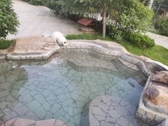 -汤泊温泉度假村