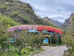 -十渡东湖港风景区