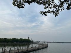 -溱湖国家湿地公园