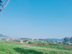 -光明小镇欢乐田园