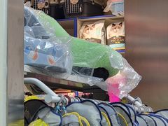 -北京观赏动物医院·24小时大型综合·猫专科·异宠专科