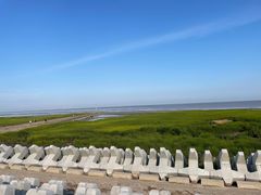 -南汇新城海滩