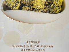 -茯茶镇