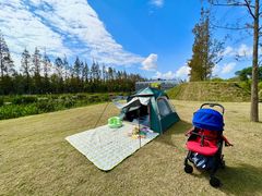 -前小桔亲子创意农场·草莓采摘·露营烧烤