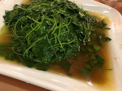 -新南华大酒店(广中店)