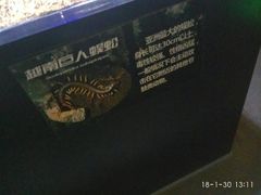 -萌宠奇缘
