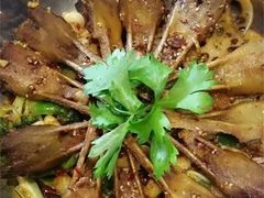 -靓蛙馆