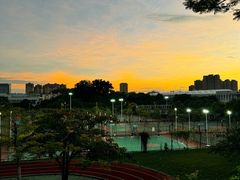 -漳州城市职业学院