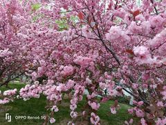 -西宁市人民公园(城西区)