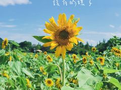 -贵阳市花溪国家城市湿地公园
