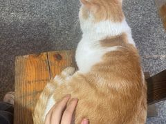 -鱼乐岛餐厅·户外花园主题餐厅